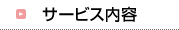 �T�[�r�X���e
